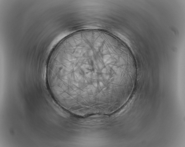 X0000113751179200910141020