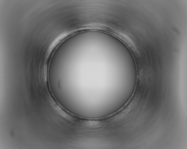 X0000113751180200910141019