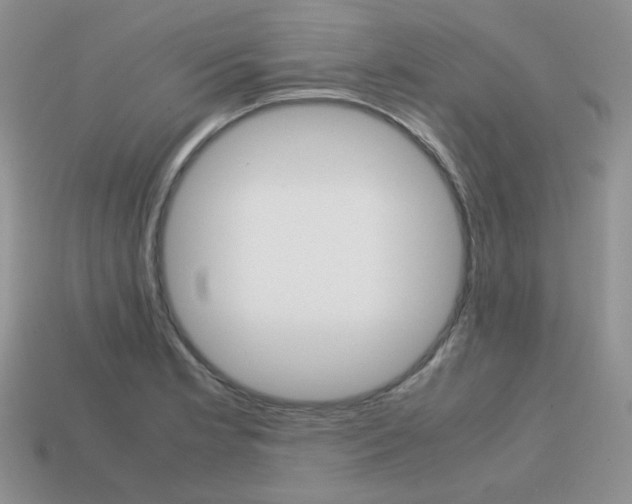 X0000113751181200910141019