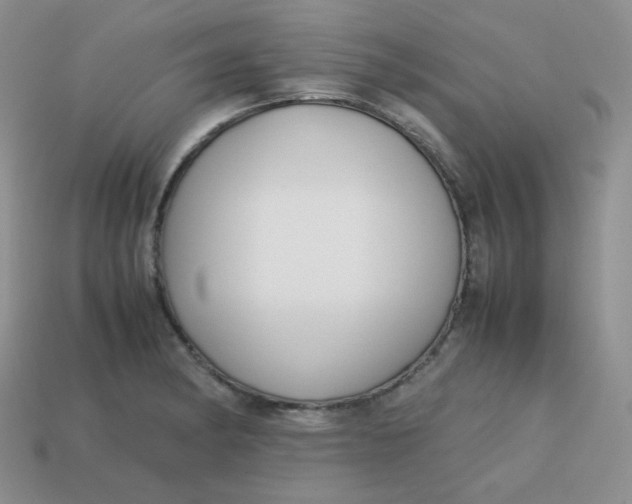 X0000113751182200910141019