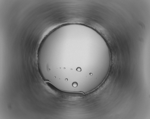 X0000113751184200910141019