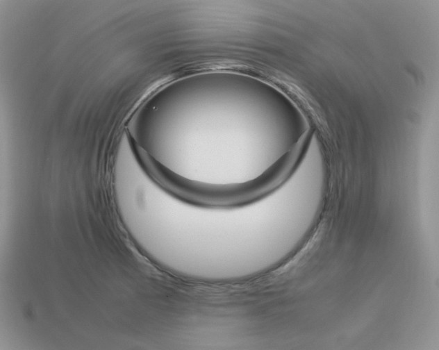 X0000113751185200910141019