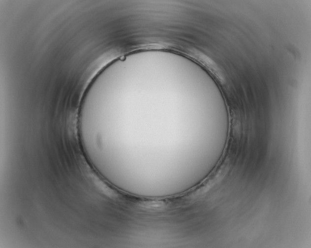 X0000113751186200910141019