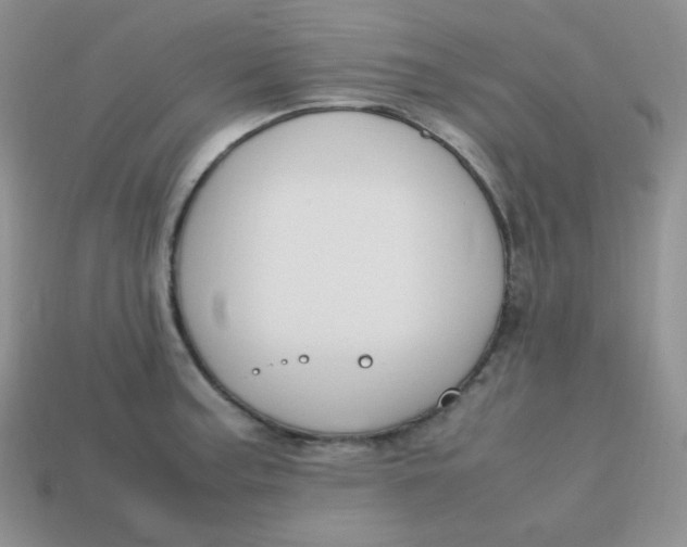 X0000113751187200910141019