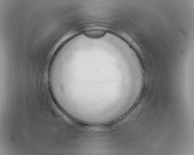 X0000113751189200910141019