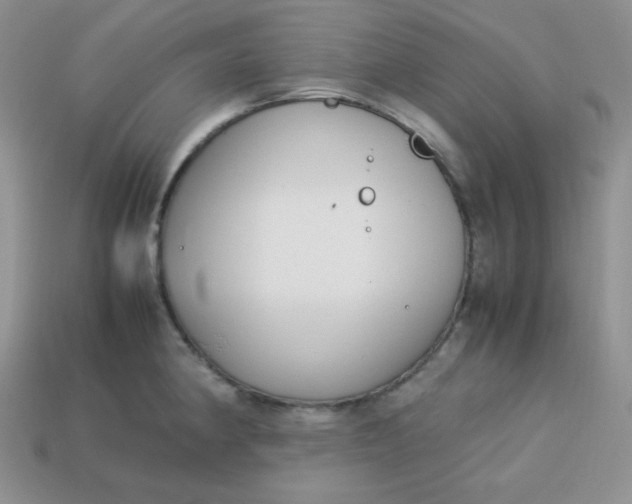 X0000113751190200910141019