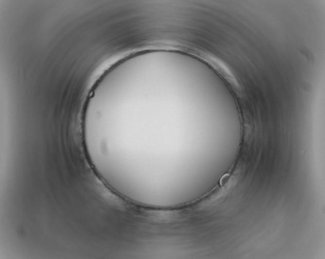 X0000113751192200910141019