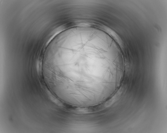 X0000113751194200910141019