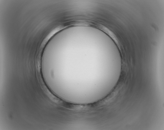 X0000113751195200910141019