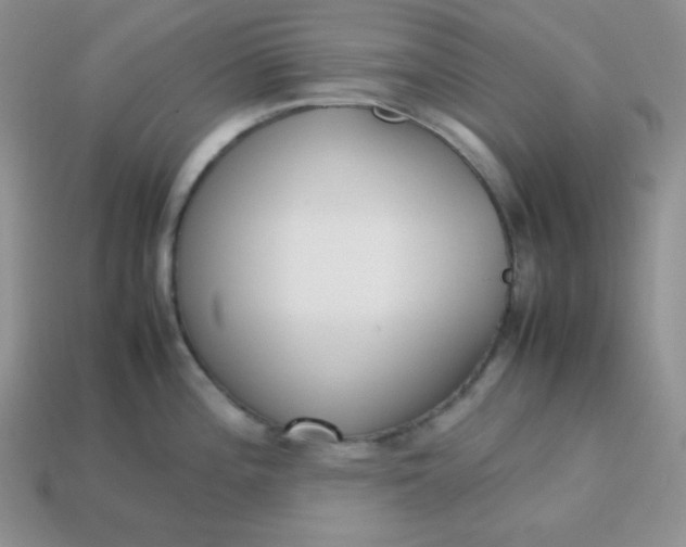 X0000113751196200910141019