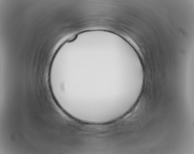 X0000113751197200910141019