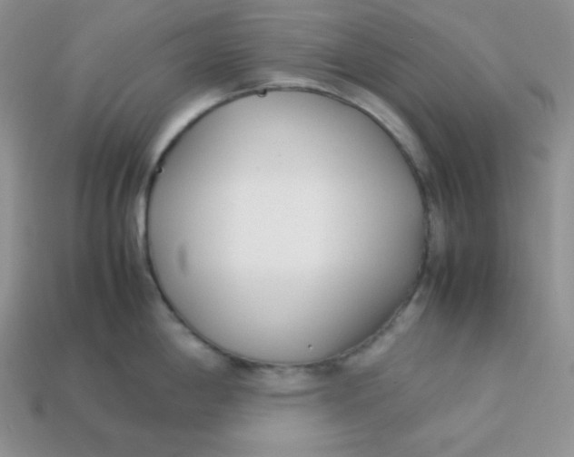 X0000113751198200910141019