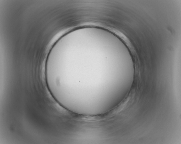 X0000113751199200910141019