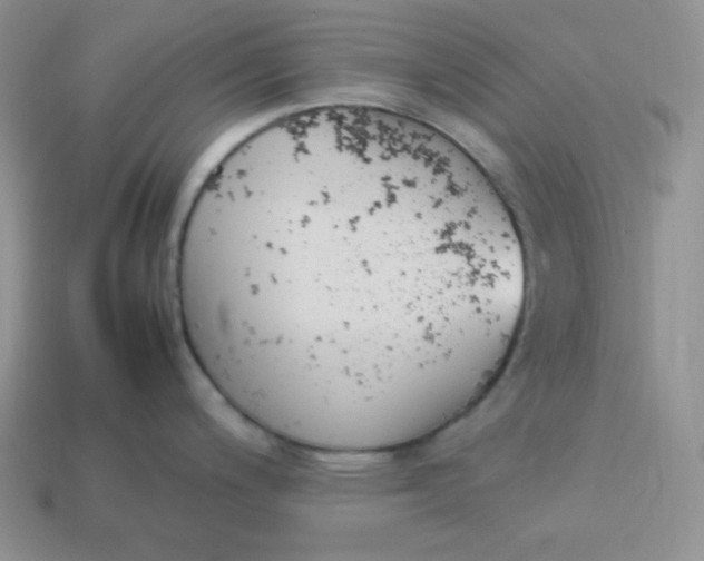 X0000113751200200910141019