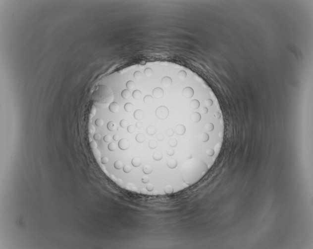 X0000113751201200910141019