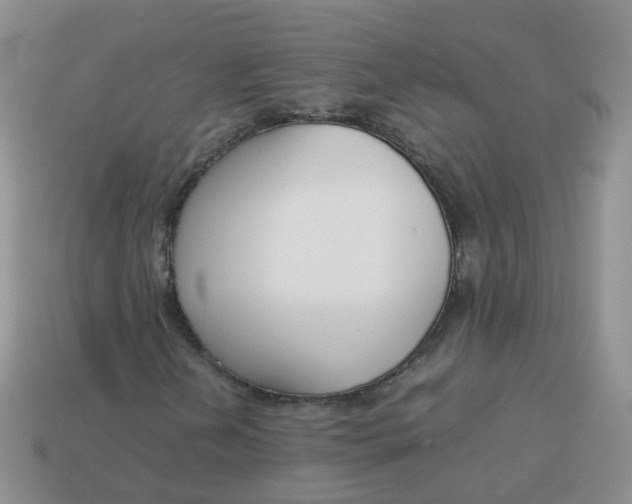 X0000113751202200910141019