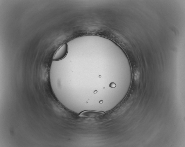 X0000113751204200910141019