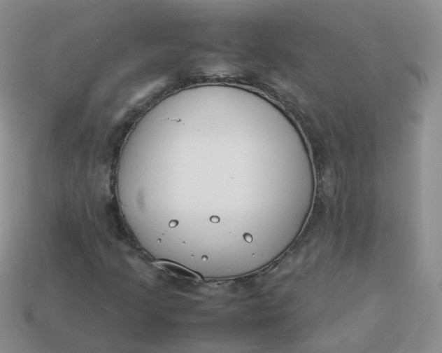 X0000113751205200910141019