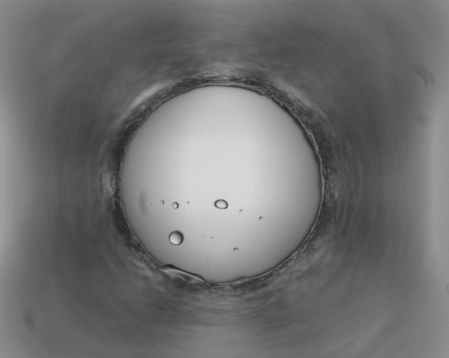 X0000113751206200910141019