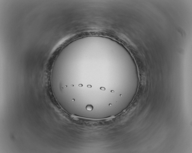 X0000113751208200910141019