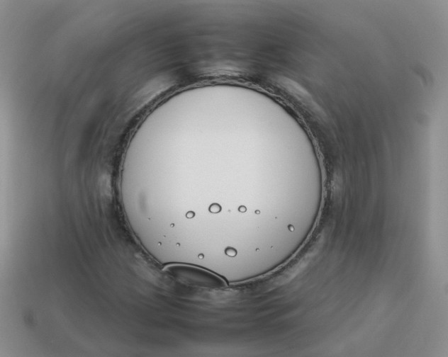 X0000113751209200910141019