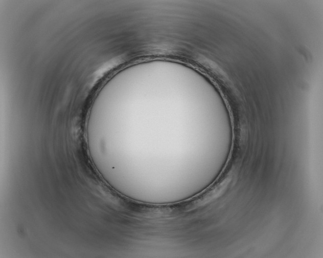 X0000113751210200910141019