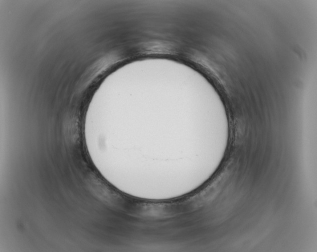 X0000113751211200910141019