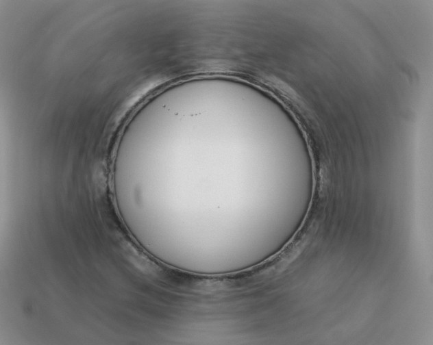 X0000113751212200910141019