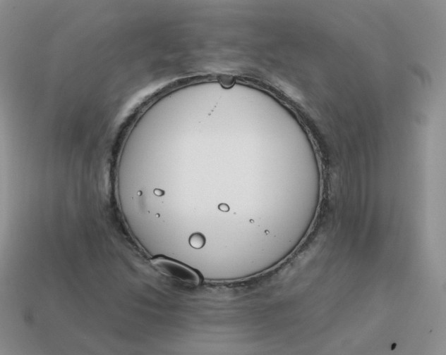 X0000113751214200910141019