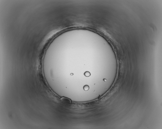 X0000113751215200910141019