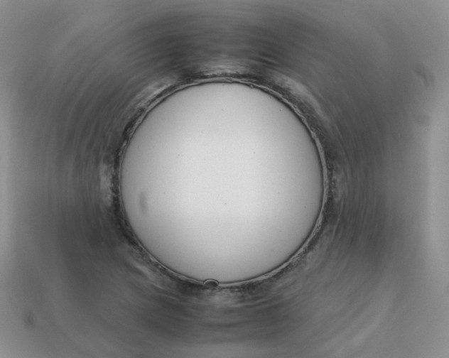 X0000113751217200910141019