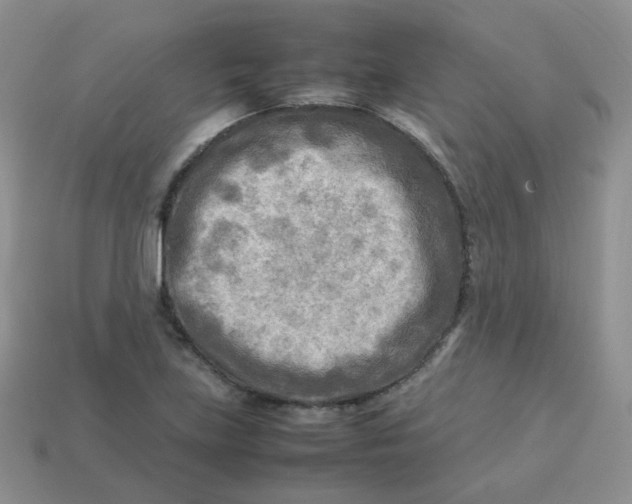 X0000113751219200910141019