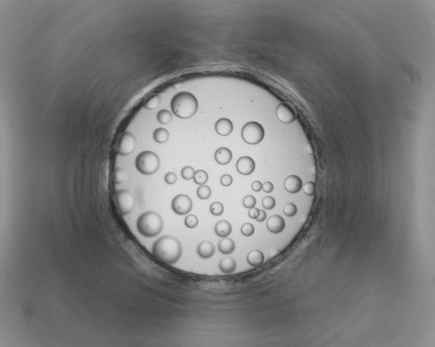 X0000113751220200910141019