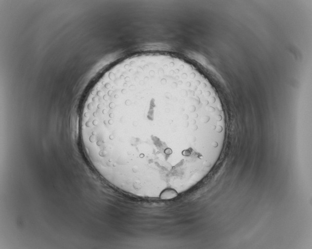 X0000113751221200910141019