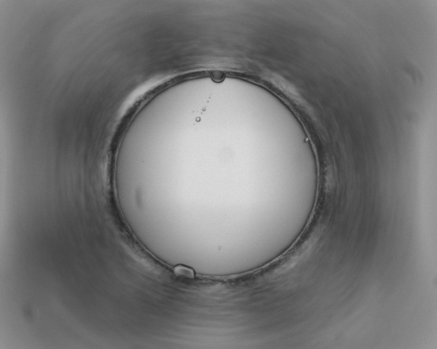 X0000113751222200910141019