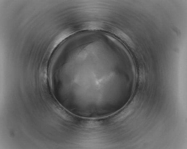 X0000113751226200910141019