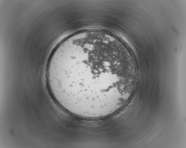 X0000113751229200910141019