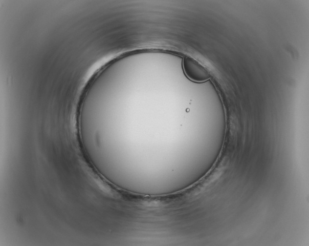 X0000113751230200910141019