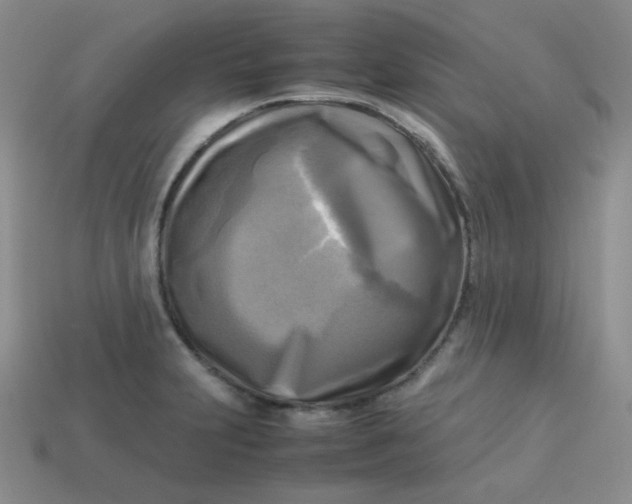 X0000113751231200910141019