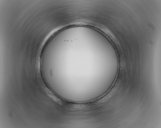 X0000113751232200910141019