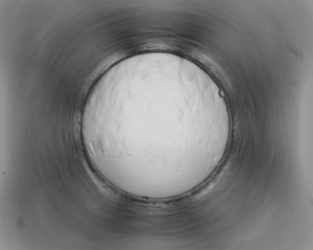 X0000113751233200910141019