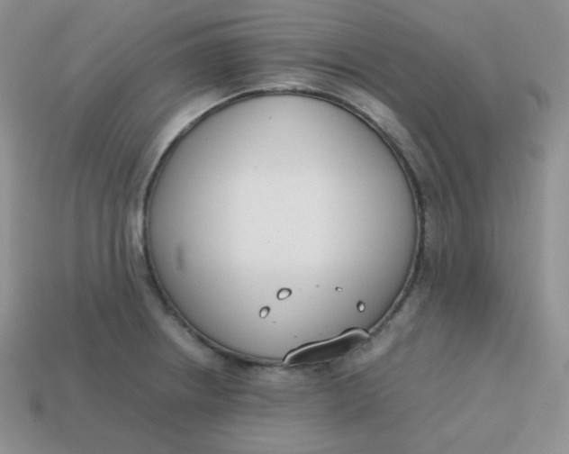 X0000113751234200910141019