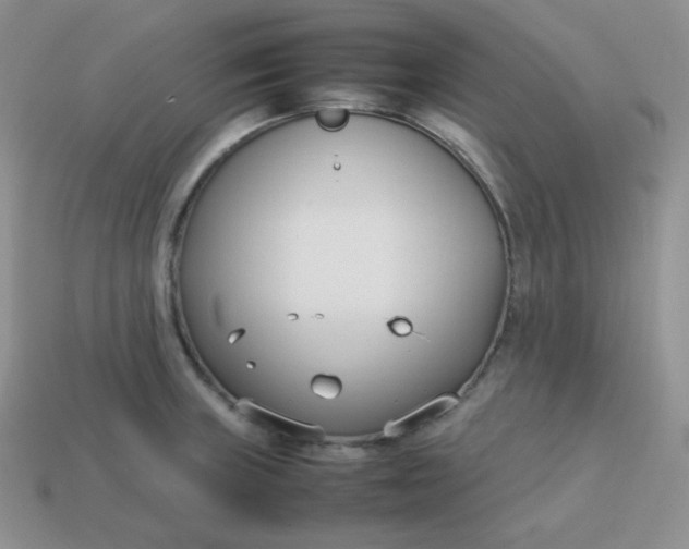 X0000113751235200910141019