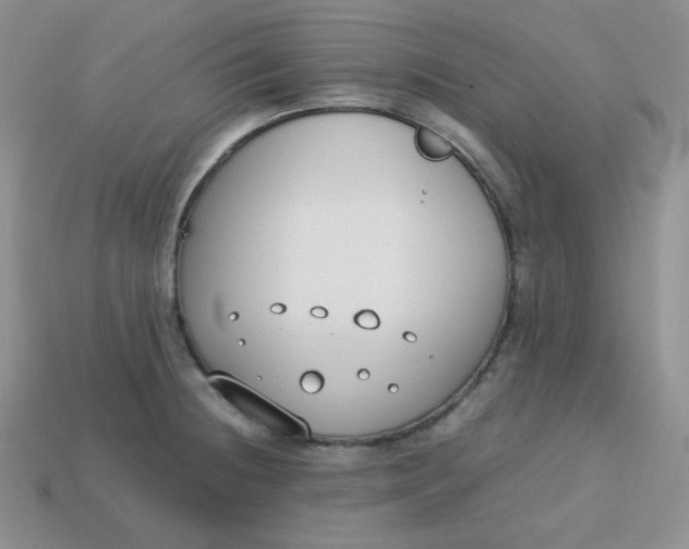 X0000113751236200910141019