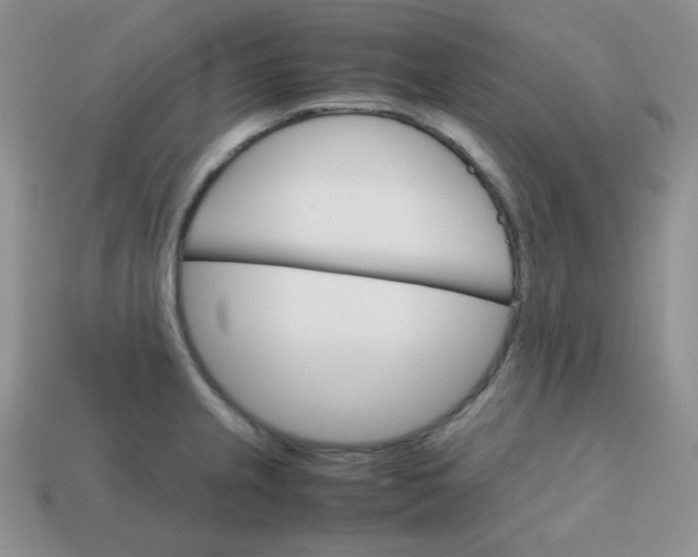 X0000113751237200910141019