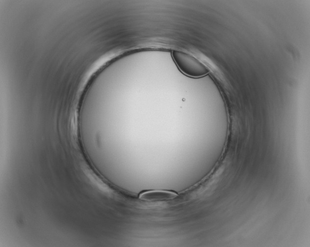 X0000113751238200910141019