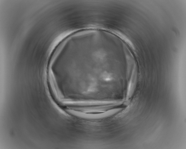 X0000113751239200910141019