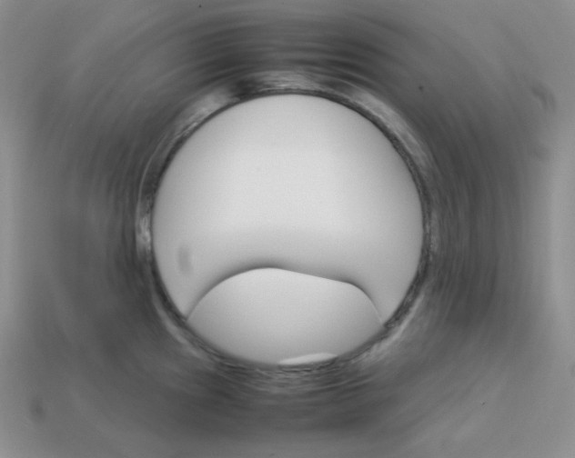 X0000113751241200910141019