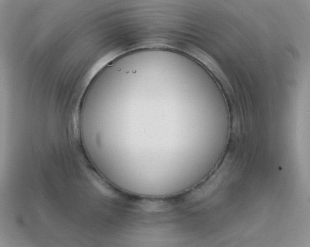 X0000113751242200910141019