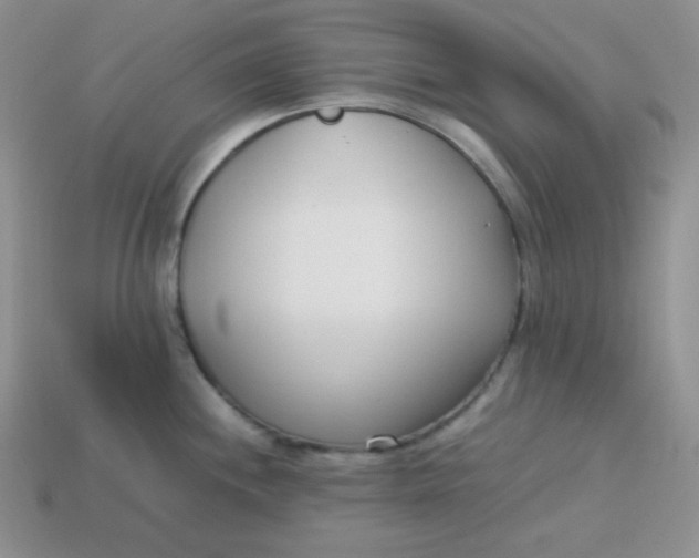 X0000113751244200910141019